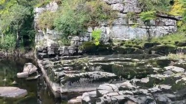 Perthshire 'daki Tay nehrinin manzarası, ormanlık ve kırsal alanlarda süzülüyor, yansımalar, vahşi yaşam ve sakin akan su