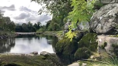 Perthshire 'daki Tay nehrinin manzarası, ormanlık ve kırsal alanlarda süzülüyor, yansımalar, vahşi yaşam ve sakin akan su