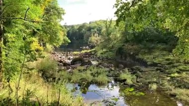 Perthshire 'daki Tay nehrinin manzarası, ormanlık ve kırsal alanlarda süzülüyor, yansımalar, vahşi yaşam ve sakin akan su