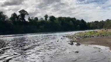 Perthshire 'daki Tay nehrinin manzarası, ormanlık ve kırsal alanlarda süzülüyor, yansımalar, vahşi yaşam ve sakin akan su