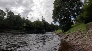 Perthshire 'daki Tay nehrinin manzarası, ormanlık ve kırsal alanlarda süzülüyor, yansımalar, vahşi yaşam ve sakin akan su