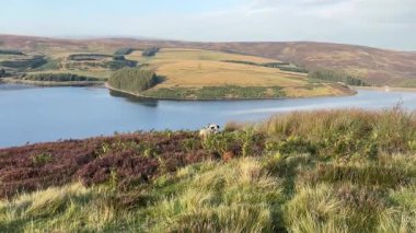 Doğu Lothian 'daki Whiteadder Barajı' nın sakin sahneleri, Lammermuir Tepeleri 'nde yuva yapmış, sakin sular, yuvarlanan manzaralar ve zengin doğal miraslar barındırıyor.