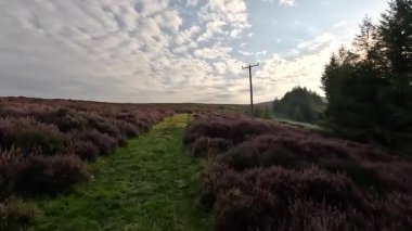 Lammermuir Tepeleri 'nde yürüdüğümüzün sakin görüntüleri bataklık arazileri, tarihi patikalar ve Doğu Lothian ve İskoç sınırlarında panoramik manzaralar sergiliyor.