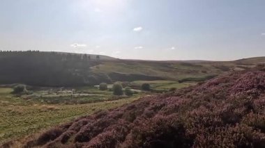 Lammermuir 'lerde Spartleton Tepesi' nde yürümek Gamelshiel Kalesi 'nin kalıntılarını ve rüzgar türbinlerini geçmek, Doğu Lothian ve İskoç sınırlarını panoramik açıdan görmek.