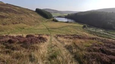 Lammermuir 'lerde Spartleton Tepesi' nde yürümek Gamelshiel Kalesi 'nin kalıntılarını ve rüzgar türbinlerini geçmek, Doğu Lothian ve İskoç sınırlarını panoramik açıdan görmek.