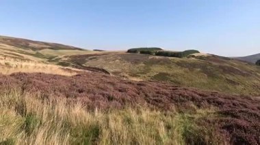 Lammermuir 'lerde Spartleton Tepesi' nde yürümek Gamelshiel Kalesi 'nin kalıntılarını ve rüzgar türbinlerini geçmek, Doğu Lothian ve İskoç sınırlarını panoramik açıdan görmek.