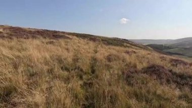 Lammermuir 'lerde Spartleton Tepesi' nde yürümek Gamelshiel Kalesi 'nin kalıntılarını ve rüzgar türbinlerini geçmek, Doğu Lothian ve İskoç sınırlarını panoramik açıdan görmek.