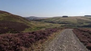 Lammermuir 'lerde Spartleton Tepesi' nde yürümek Gamelshiel Kalesi 'nin kalıntılarını ve rüzgar türbinlerini geçmek, Doğu Lothian ve İskoç sınırlarını panoramik açıdan görmek.