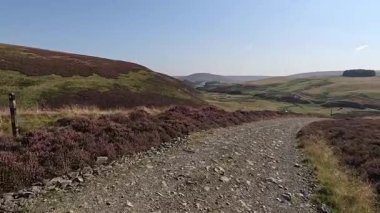 Lammermuir 'lerde Spartleton Tepesi' nde yürümek Gamelshiel Kalesi 'nin kalıntılarını ve rüzgar türbinlerini geçmek, Doğu Lothian ve İskoç sınırlarını panoramik açıdan görmek.