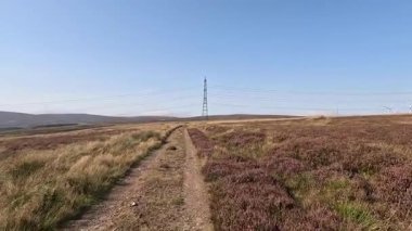 Lammermuir 'lerde Spartleton Tepesi' nde yürümek Gamelshiel Kalesi 'nin kalıntılarını ve rüzgar türbinlerini geçmek, Doğu Lothian ve İskoç sınırlarını panoramik açıdan görmek.