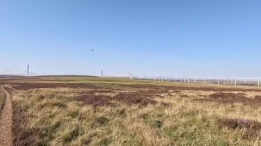 Lammermuir 'lerde Spartleton Tepesi' nde yürümek Gamelshiel Kalesi 'nin kalıntılarını ve rüzgar türbinlerini geçmek, Doğu Lothian ve İskoç sınırlarını panoramik açıdan görmek.