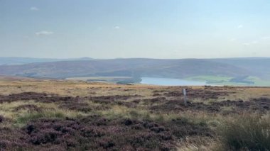 Lammermuir 'lerde Spartleton Tepesi' nde yürümek Gamelshiel Kalesi 'nin kalıntılarını ve rüzgar türbinlerini geçmek, Doğu Lothian ve İskoç sınırlarını panoramik açıdan görmek.