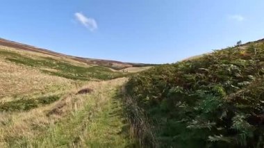 Lammermuir 'lerde Spartleton Tepesi' nde yürümek Gamelshiel Kalesi 'nin kalıntılarını ve rüzgar türbinlerini geçmek, Doğu Lothian ve İskoç sınırlarını panoramik açıdan görmek.