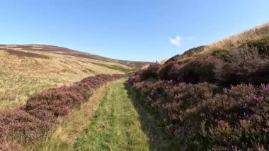 Lammermuir 'lerde Spartleton Tepesi' nde yürümek Gamelshiel Kalesi 'nin kalıntılarını ve rüzgar türbinlerini geçmek, Doğu Lothian ve İskoç sınırlarını panoramik açıdan görmek.