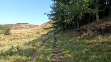 Lammermuir 'lerde Spartleton Tepesi' nde yürümek Gamelshiel Kalesi 'nin kalıntılarını ve rüzgar türbinlerini geçmek, Doğu Lothian ve İskoç sınırlarını panoramik açıdan görmek.