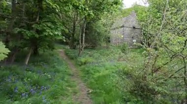 Terk edilmiş bir güvercin, ya da doocot, İskoç ormanlarında saklanır, yıpranmış taş duvarları ve yüzyıllardır süregelen kırsal mirasın yankılanan kutuları.