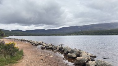 Loch Morlich Gölü 'nde sakin bir yaz günü, dağları ve ormanı yansıtıyor açık kayakların altında İskoçya güzelliği en sakin haliyle.