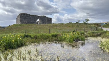 Nethy Köprüsü yakınlarındaki Roy Kalesi, Cairngorm ve Strathspey 'in panoramik manzarasını sunan bir buzul tepeciğinin tepesinde 12. yüzyıldan kalma bir avlu kalesidir..
