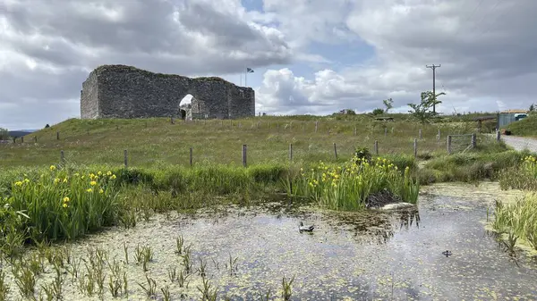 Nethy Köprüsü yakınlarındaki Roy Kalesi, Cairngorm ve Strathspey 'in panoramik manzarasını sunan bir buzul tepeciğinin tepesinde 12. yüzyıldan kalma bir avlu kalesidir..
