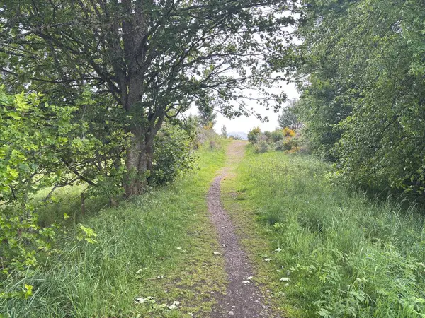 Speyside kırsal bölgeleri sarsılan tepeler, orman kenarları ve Spey nehri ile coşkulu vadi alanlarında dram ve dinginlik hakim viski ülkesinde..