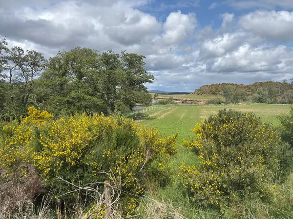 Speyside kırsal bölgeleri sarsılan tepeler, orman kenarları ve Spey nehri ile coşkulu vadi alanlarında dram ve dinginlik hakim viski ülkesinde..