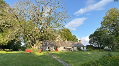 The Dell of Abernethy near Nethy Bridge is a tranquil woodland retreat on the edge of ancient Caledonian pines in the Cairngorms.