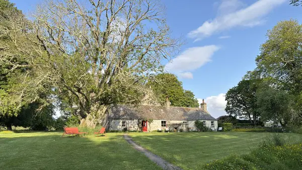 Nethy Köprüsü yakınlarındaki Abernethy vadisi Cairngorm 'daki antik Caledonia çamlarının kıyısında sakin bir ormanlık alandır..