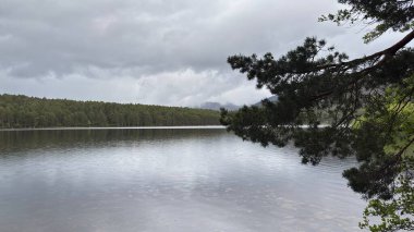 Rothiemurchus ormanlarında yürüyüp Eilein Gölü 'nü sakinleştirecek antik çamlar ve Cairngorm tepeleriyle çevrelenmiş bir kale adası olacak..