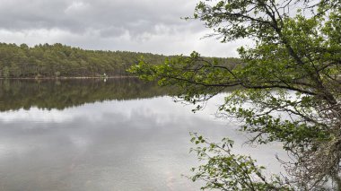 Rothiemurchus ormanlarında yürüyüp Eilein Gölü 'nü sakinleştirecek antik çamlar ve Cairngorm tepeleriyle çevrelenmiş bir kale adası olacak..