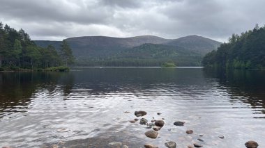 Rothiemurchus ormanlarında yürüyüp Eilein Gölü 'nü sakinleştirecek antik çamlar ve Cairngorm tepeleriyle çevrelenmiş bir kale adası olacak..