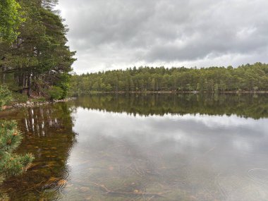 Rothiemurchus ormanlarında yürüyüp Eilein Gölü 'nü sakinleştirecek antik çamlar ve Cairngorm tepeleriyle çevrelenmiş bir kale adası olacak..