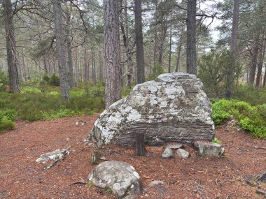 Rothiemurchus ormanlarında yürüyüp Eilein Gölü 'nü sakinleştirecek antik çamlar ve Cairngorm tepeleriyle çevrelenmiş bir kale adası olacak..