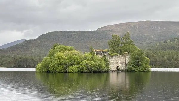 Ebedi LochanEilein Şatosu, eski çam ağaçları ve engebeli Cairngorm zirveleriyle çevrili aynalı sulardan yükselir..
