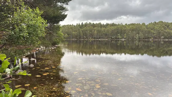 Rothiemurchus ormanlarında yürüyüp Eilein Gölü 'nü sakinleştirecek antik çamlar ve Cairngorm tepeleriyle çevrelenmiş bir kale adası olacak..