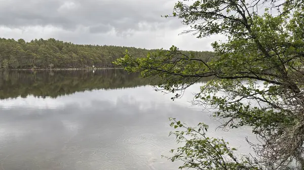 Rothiemurchus ormanlarında yürüyüp Eilein Gölü 'nü sakinleştirecek antik çamlar ve Cairngorm tepeleriyle çevrelenmiş bir kale adası olacak..
