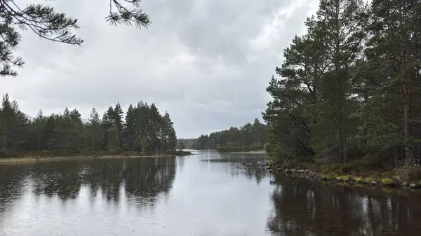 Rothiemurchus ormanlarında yürüyüp Eilein Gölü 'nü sakinleştirecek antik çamlar ve Cairngorm tepeleriyle çevrelenmiş bir kale adası olacak..