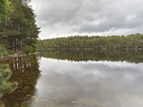 Rothiemurchus ormanlarında yürüyüp Eilein Gölü 'nü sakinleştirecek antik çamlar ve Cairngorm tepeleriyle çevrelenmiş bir kale adası olacak..
