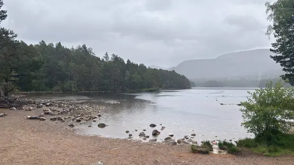 Rothiemurchus ormanlarında yürüyüp Eilein Gölü 'nü sakinleştirecek antik çamlar ve Cairngorm tepeleriyle çevrelenmiş bir kale adası olacak..
