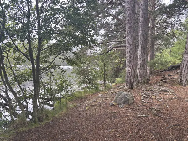 Rothiemurchus ormanlarında yürüyüp Eilein Gölü 'nü sakinleştirecek antik çamlar ve Cairngorm tepeleriyle çevrelenmiş bir kale adası olacak..