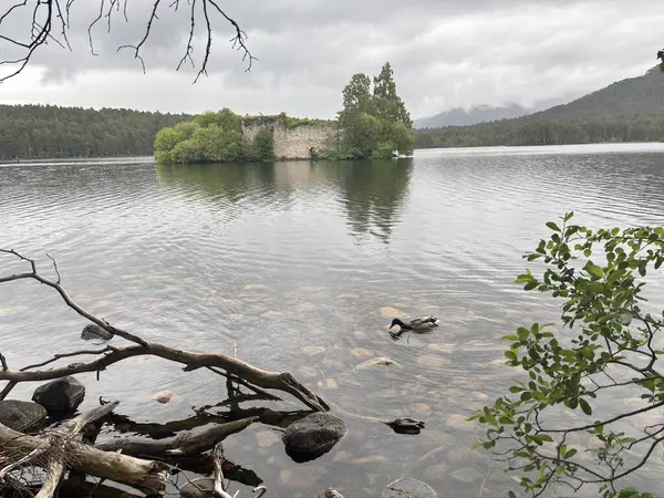 Rothiemurchus ormanlarında yürüyüp Eilein Gölü 'nü sakinleştirecek antik çamlar ve Cairngorm tepeleriyle çevrelenmiş bir kale adası olacak..