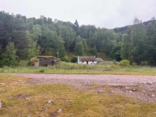 Rothiemurchus ormanlarında yürüyüp Eilein Gölü 'nü sakinleştirecek antik çamlar ve Cairngorm tepeleriyle çevrelenmiş bir kale adası olacak..