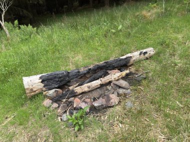 Terk edilmiş bir kamp ateşi halkası geniş bir orman ormanında yanan odun yığınları İskoç sınırlarında kırsal yalnızlığı ve açık hava anılarını anımsatıyor..