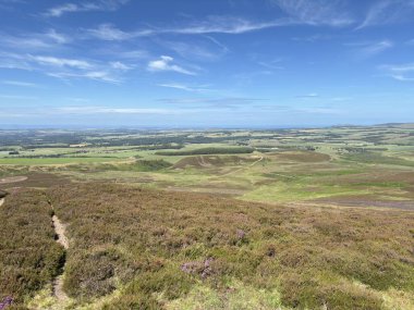 Yuvarlanan tepeler Lammer Kanunu yakınlarındaki Lammermuirler boyunca uzanır, Doğu Lothianheather 'ın kapladığı bozkırlar ve geniş bir gökyüzünün altında otlayan arazi, huzurlu kırsal manzaralar sunar..