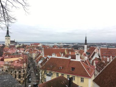 Tallinn 'in atmosferik ortaçağ şehir merkezi yumuşak sonbahar ışığı altında, tarihi mimari ve kaldırım taşı caddeleri vurgulanıyor.