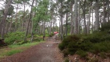 Loch an Eilein Gölü 'nde yürüyüş yapmak, 14. yüzyıldan kalma şato harabelerinin huzurlu güzelliğini yakalamak, çam ormanlarını çevreleyen ve Cairngorms Ulusal Parkı' ndaki sakin göl sularını yakalamak.