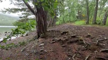 Loch an Eilein Gölü 'nde yürüyüş yapmak, 14. yüzyıldan kalma şato harabelerinin huzurlu güzelliğini yakalamak, çam ormanlarını çevreleyen ve Cairngorms Ulusal Parkı' ndaki sakin göl sularını yakalamak.