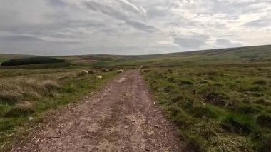 Güney İskoçya 'daki Lammermuir Tepeleri' nde yürüyüp bataklık manzaralarını, yuvarlanan tepeleri, otlayan koyunları ve Güney Upland Yolu boyunca panoramik manzaraları yakalıyorum.