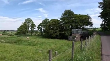 Güney İskoçya 'daki Lammermuir Tepeleri' nde yürüyüp bataklık manzaralarını, yuvarlanan tepeleri, otlayan koyunları ve Güney Upland Yolu boyunca panoramik manzaraları yakalıyorum.
