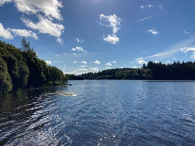 Serene Kielder Ormanı ve göl manzarası, kozalaklı ağaçlar üzerinde yükselen sis ve sonbahar güneşinde sakin bir su deposu..