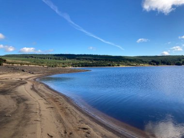 Serene Kielder Ormanı ve göl manzarası, kozalaklı ağaçlar üzerinde yükselen sis ve sonbahar güneşinde sakin bir su deposu..